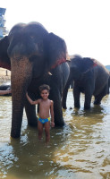 /album/fotogaleria-sri-lanka-vy-a-my/sri-lanka-maldivy-zajazd-73-jpg3/